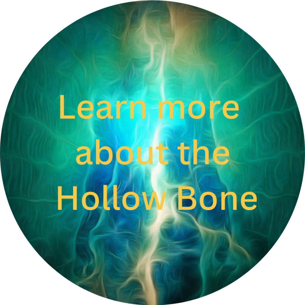 Link to information about the hollow bone books.